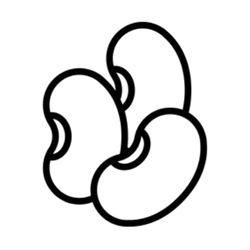 قسم البقوليات