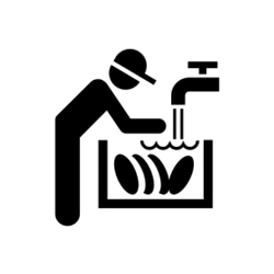 غسيل الصحون