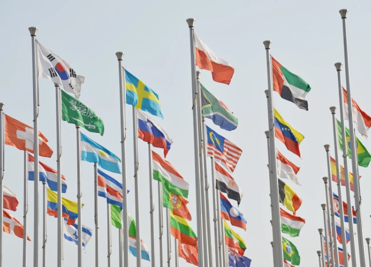 المشاركة في معرض محلي